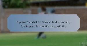 Siphiwe Tshabalala: Beroemde doelpunten, Clubimpact, Internationale carrière