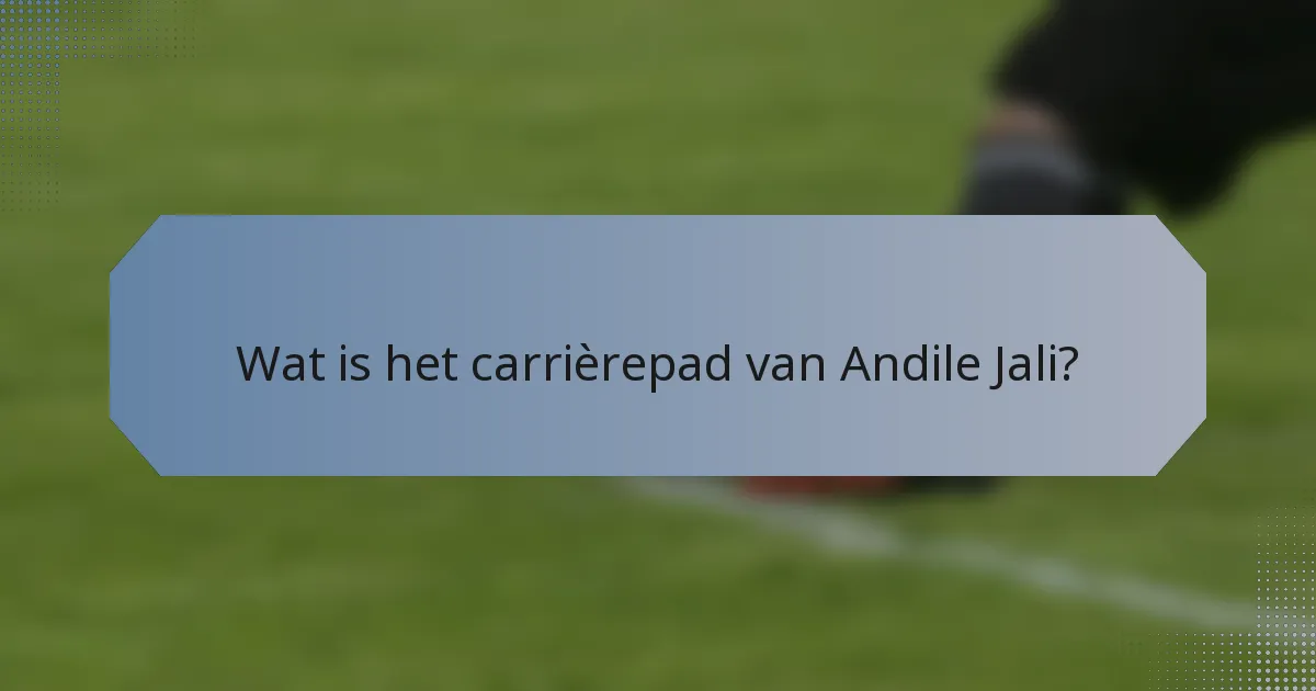 Wat is het carrièrepad van Andile Jali?